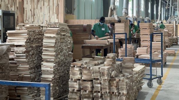 Wood processing for export under EUDR: [3] Adaptive solutions